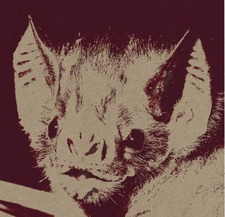 batty