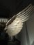 haneen