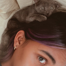 Sleepy Cat Ki