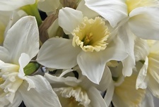 April