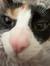Abby