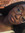 trapstarafia