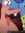 HeavenlyFarts