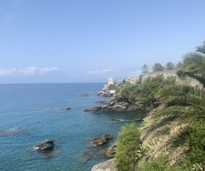 Giulio T