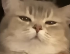 ,