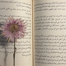 مَرْيَـمْ