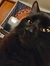 Spencer