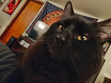 Spencer