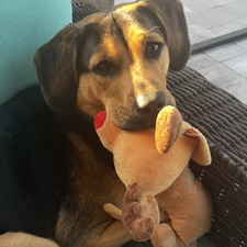 ella