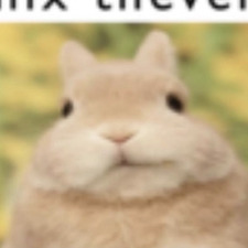 Christopher L.V