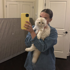 Isabel