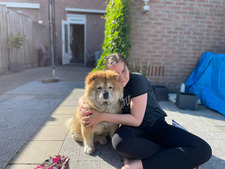 Siobhan van der Groef