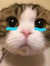 퓨