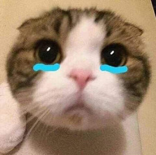 퓨