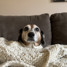 Molly