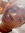 Shanice Harris