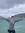 Bay