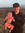 Ste Dewhurst