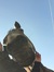 Luca