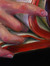 jakayla