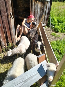 Kerttu