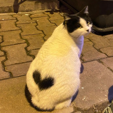 ⋆. 𐙚˚Kübra 𝜗𝜚˚⋆