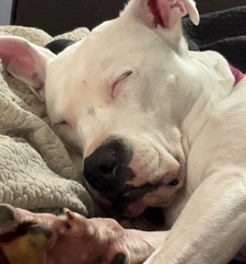 Amy