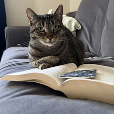 Max