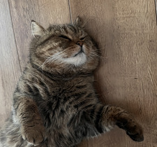 Ola
