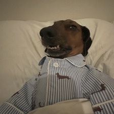 Dan
