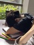 Prarthna