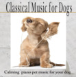 Aimy