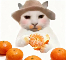 jee🍊