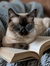 Kindle ...