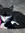 Emma_catlover