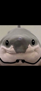Pol