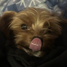 sam