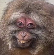 rafurra