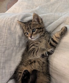 Emma