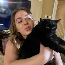 Mikki