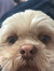 Khloe
