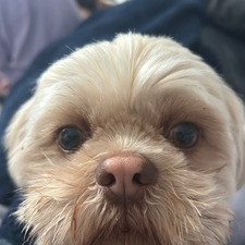 Khloe