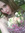 Gabby Linnell