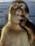 Melowin