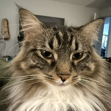 John Catral
