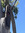 SFM