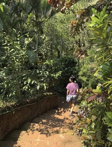 mahira