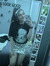 Gaby Kass