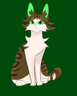 Cora