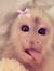 andrea